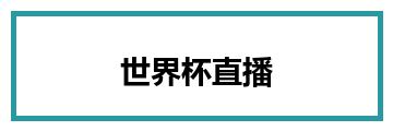 世界杯直播